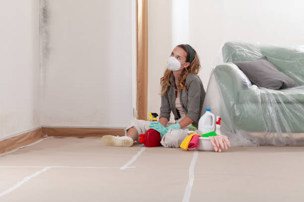 Reliable Mold Cleanup contractor in Sun City, AZ by WQB Mold Removal